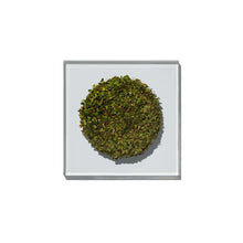 Load image into Gallery viewer, INGREDIENTS Verbena Herbal Tea