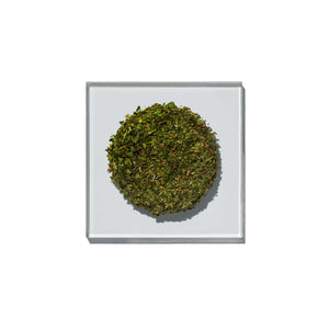 INGREDIENTS Verbena Herbal Tea